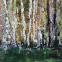 Birches, 12x16, oil on canvas