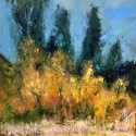 Teton Meadow, 20x20, oil on canvas