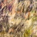 Teton Fields, 14x18, oil